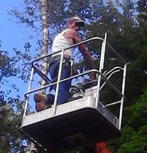 Fred's crew working with a boom lift on palm trees